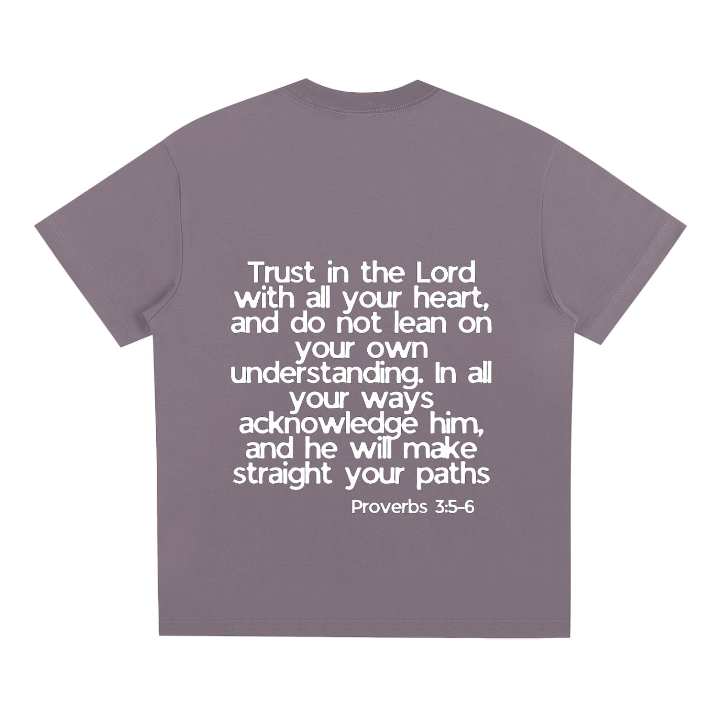 Proverbs 5-6 T-Shirt