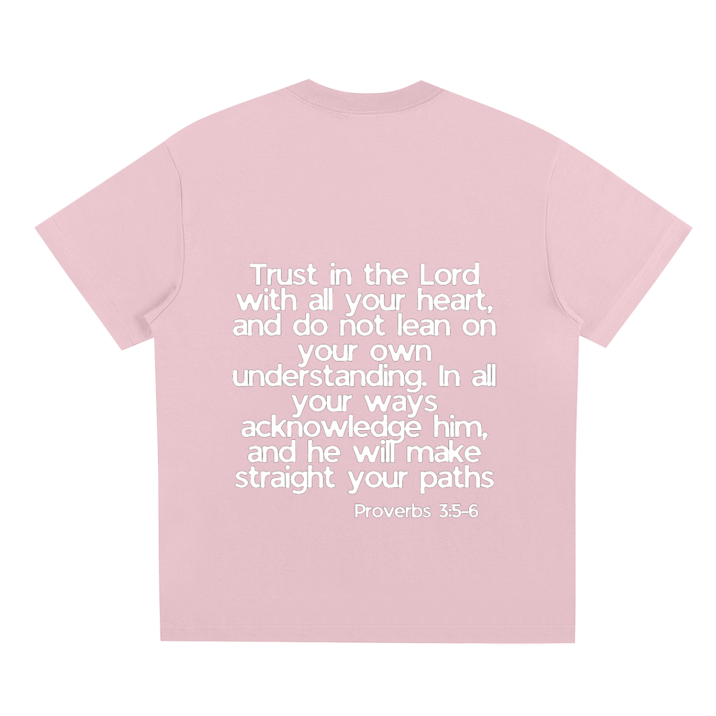 Proverbs 5-6 T-Shirt