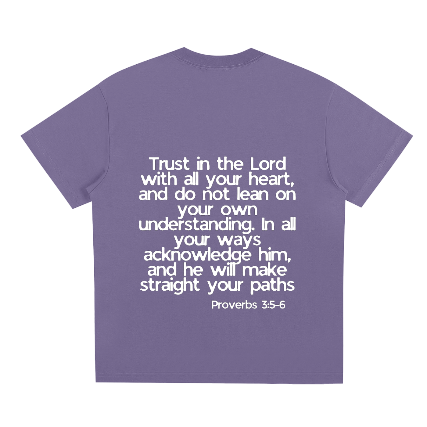 Proverbs 5-6 T-Shirt