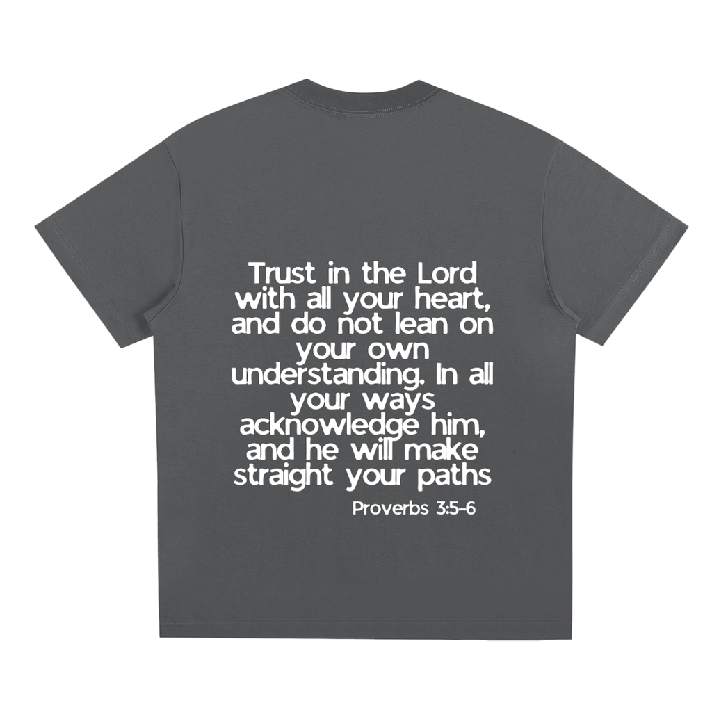 Proverbs 5-6 T-Shirt