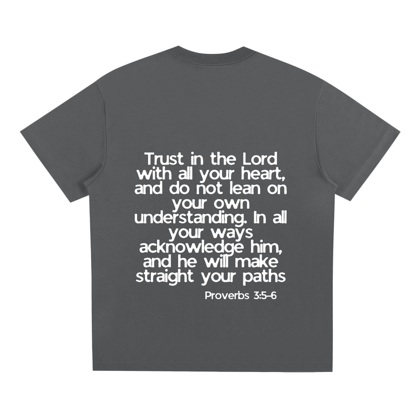Proverbs 5-6 T-Shirt