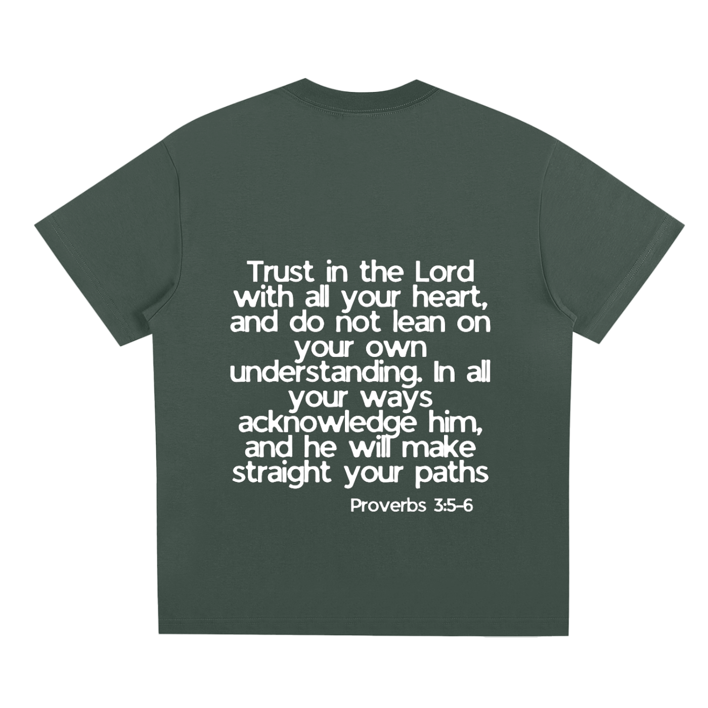Proverbs 5-6 T-Shirt