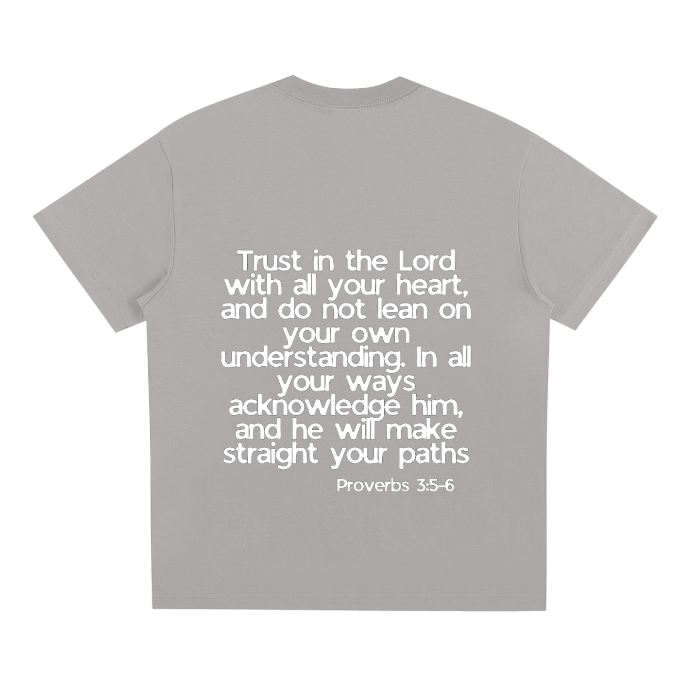Proverbs 5-6 T-Shirt