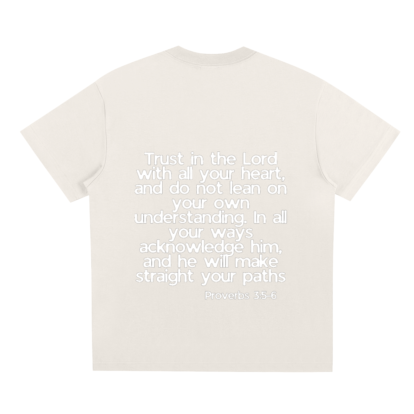 Proverbs 5-6 T-Shirt