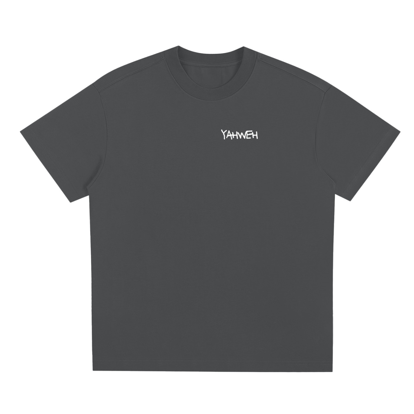 Proverbs 5-6 T-Shirt