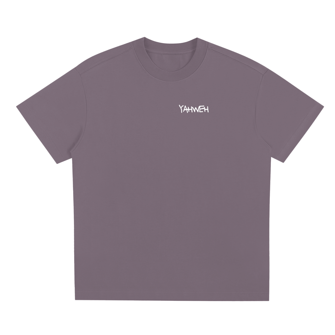 Proverbs 5-6 T-Shirt